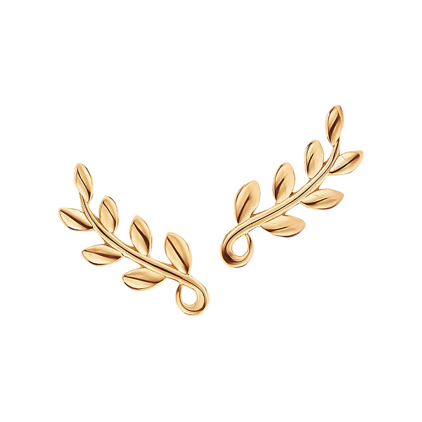 Paloma Picasso Pendientes Olive Leaf Climber Yellow Gold